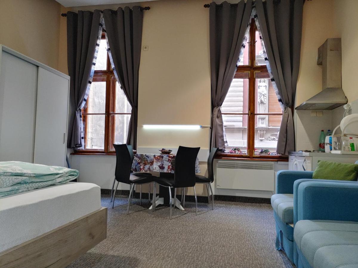 Apartment Danijela-City Centar بلغراد المظهر الخارجي الصورة